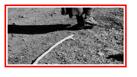 Yojimbo stick